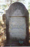 Kolbuszowa Cemetery2.jpg (155116 bytes)