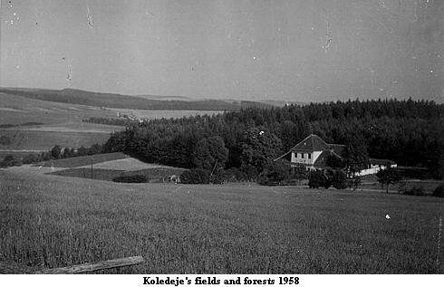 fields
