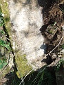 Kolodne-Cemetery-stone-039