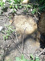 Kolodne-Cemetery-stone-064
