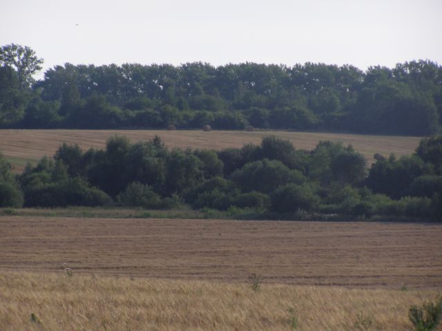 Distant Izaaka Site