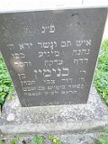 Koshelovo-stone-563