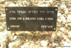 Plaque