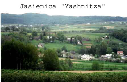 Jasienica town