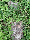 Kriva Nagykirva-tstone-126