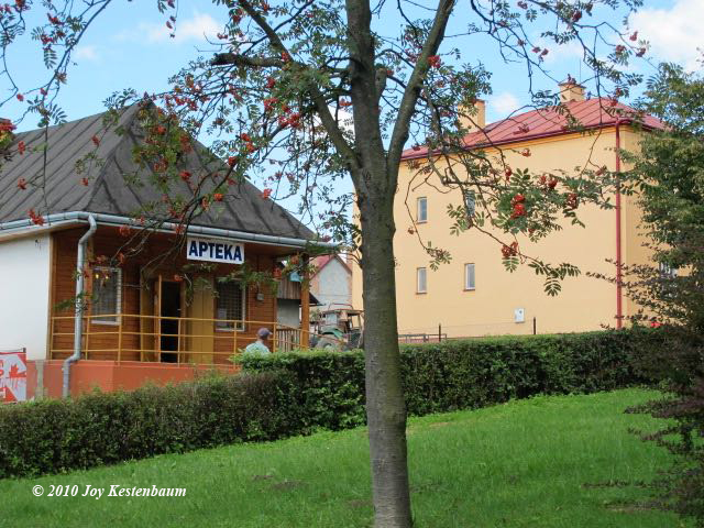 Pharmacy in
Krzywcza