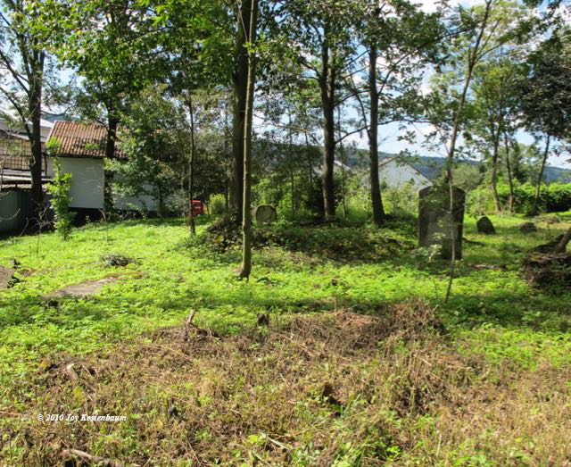 At Jewish Cemetery
in Krzywcza