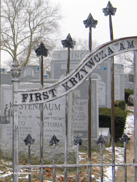 First
                  Krzywcza Cemetery Gate