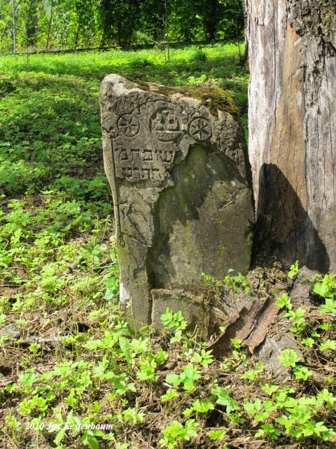 Gravestone in
Krzywcza Jewish Cemetery