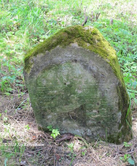 Gravestone in
Krzywcza