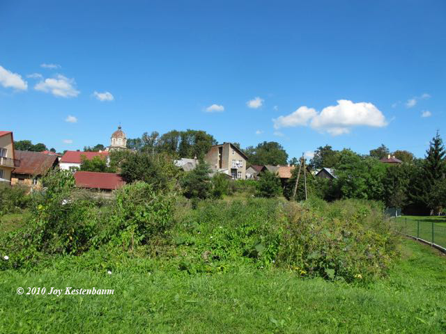 Wide view
of Kryzwcza with Church dome and Schacter house