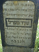 Kushnitsa-Cemetery-stone-087