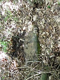 Kuzmyno-tombstone-renamed-09