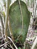 Kuzmyno-tombstone-renamed-50