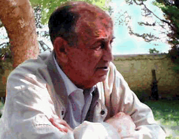 Golub