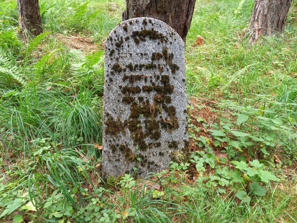 Another view