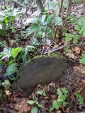 Lypcha-tstone-44