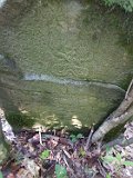 Lypcha-tstone-75