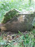 Lypcha-tstone-80