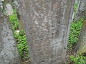 Mala Dobron-tombstone-079