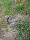 Malyy-Bychkiv-tombstone-080
