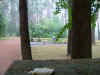 DSCF0144.JPG (487738 bytes)