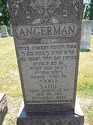 Angerman-Sadie