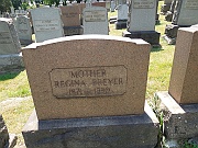 Breyer-Regina-1
