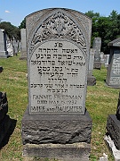 Friedman-Fannie