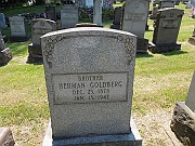 Goldberg-Herman