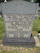 Herczer-Herman