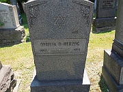Herzog-Ottilla-D