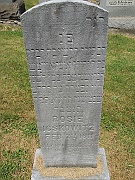 Icskowitz-Rosie