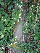 Illegible34