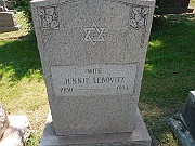 Lebovitz-Jennie