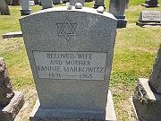 Markowitz-Fannie