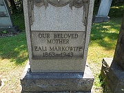 Markowitz-Zali