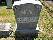 Mendlovits-Morris-M