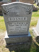 Rosner-Jane