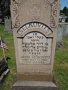 Selkovits-David