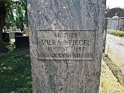 Speigel-Milka