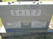 Spitz-Bennie-and-Sadie