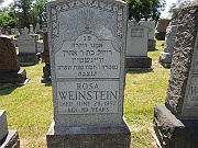 Weinstein-Rosa