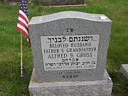 GROSS-Alfred-B-1