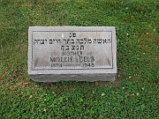 Gelb-Mollie