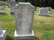 Goldberg-Louise