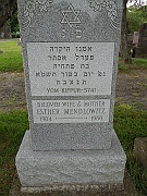 Mendlowitz-Esther