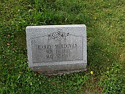 Moldovan-Harry