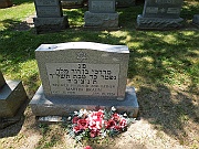 BRAUN-Martin