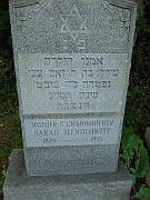 MENDLOWITZ-Sarah